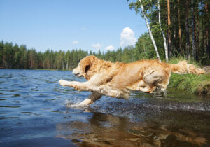 MDVSS Outdoor Activities in Spring